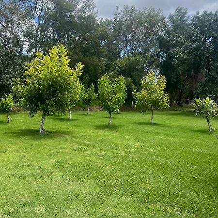 Cabanas Cumbres De Aguacatitla 우아스카 데 오캄포 외부 사진