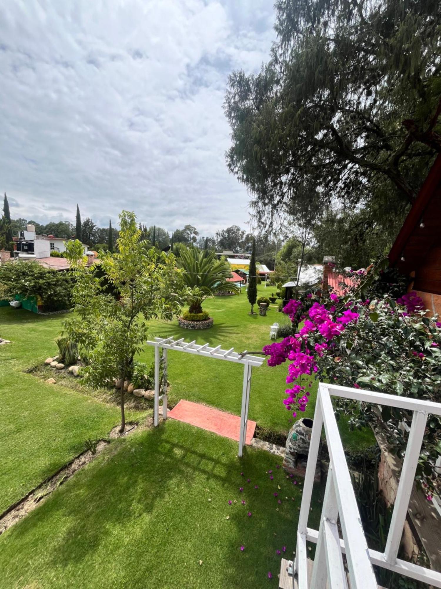 Cabanas Cumbres De Aguacatitla 우아스카 데 오캄포 외부 사진