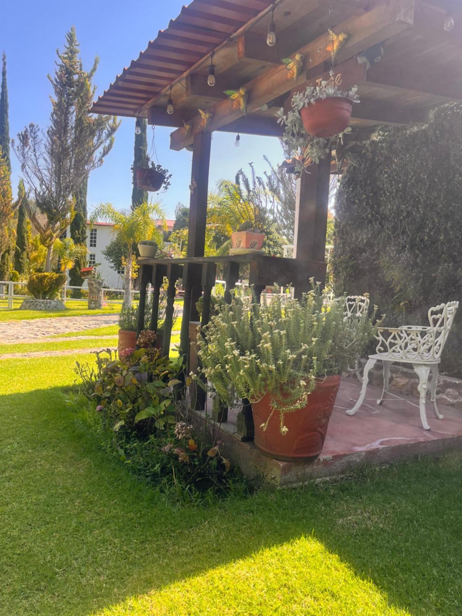 Cabanas Cumbres De Aguacatitla 우아스카 데 오캄포 외부 사진