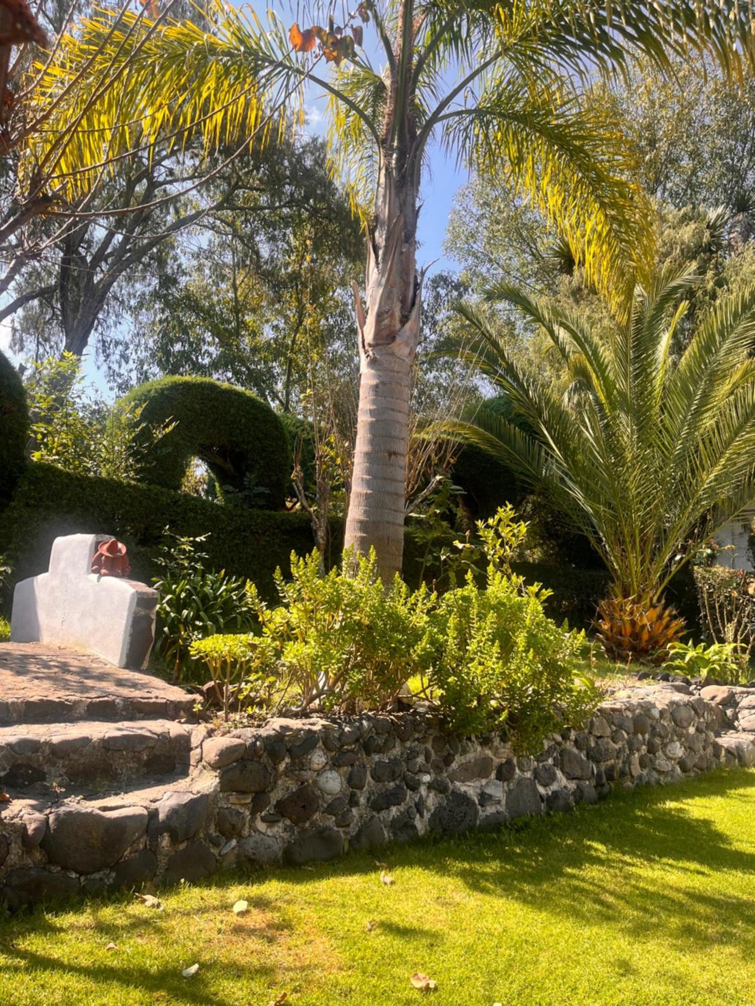 Cabanas Cumbres De Aguacatitla 우아스카 데 오캄포 외부 사진