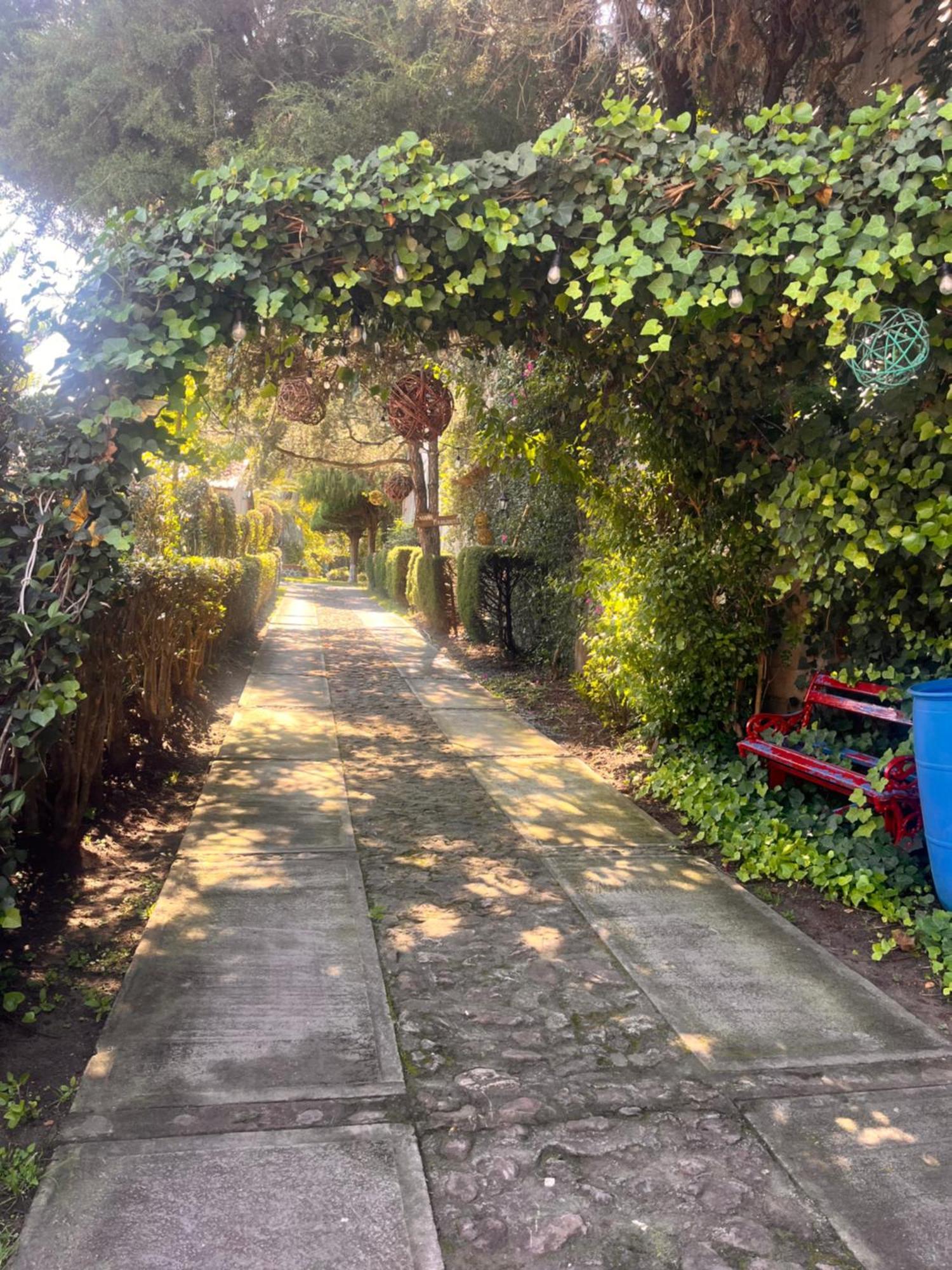 Cabanas Cumbres De Aguacatitla 우아스카 데 오캄포 외부 사진