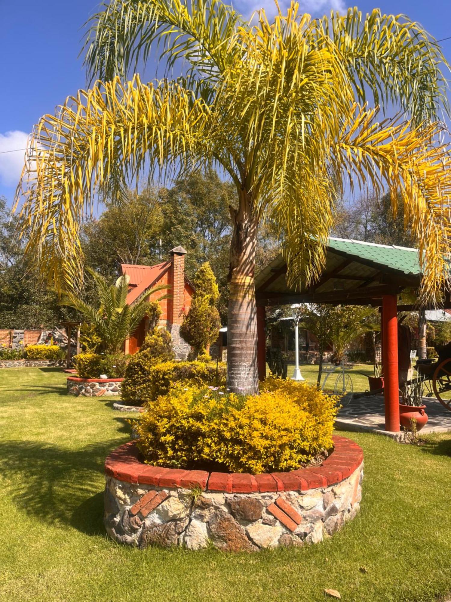 Cabanas Cumbres De Aguacatitla 우아스카 데 오캄포 외부 사진