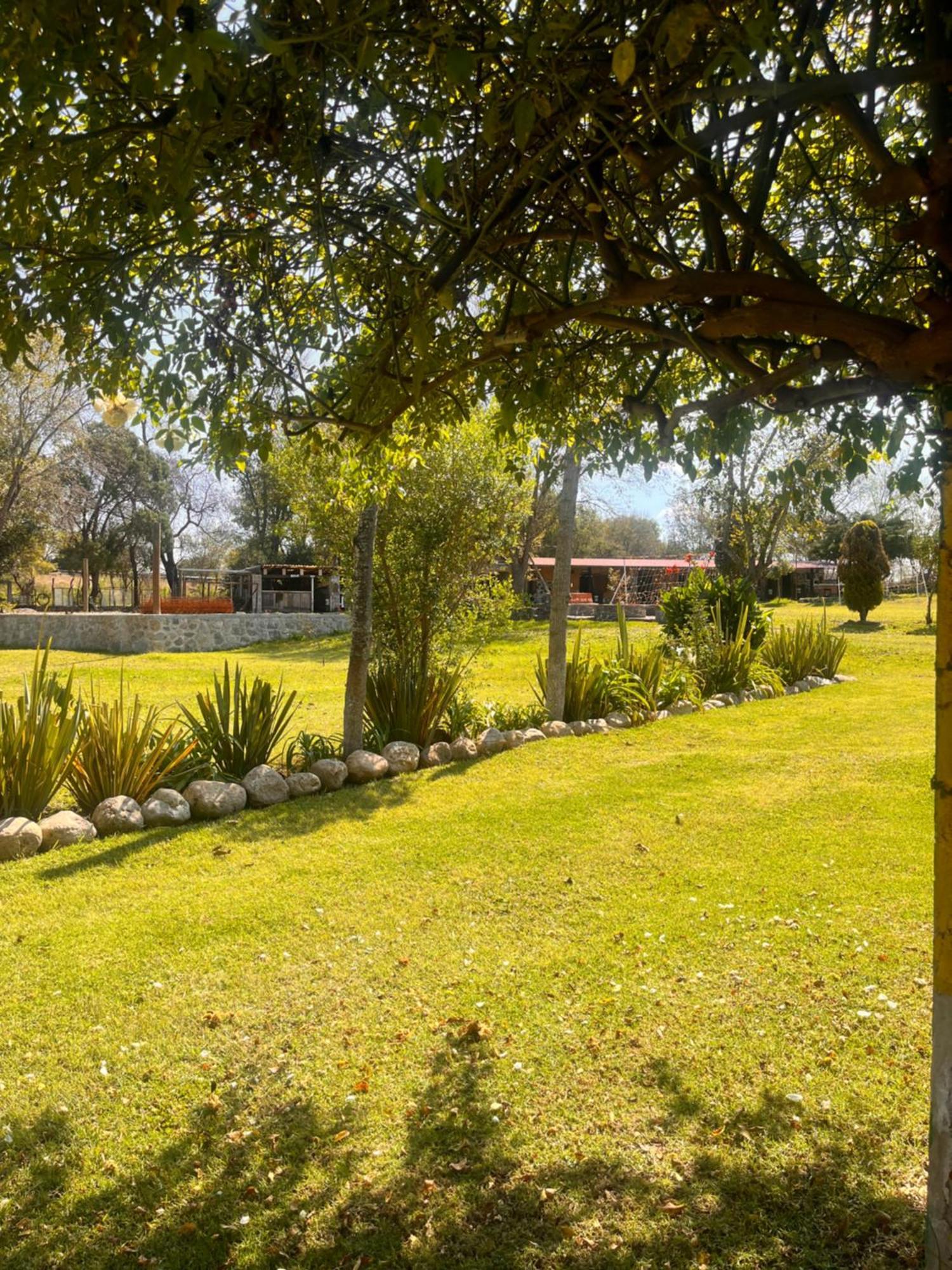 Cabanas Cumbres De Aguacatitla 우아스카 데 오캄포 외부 사진