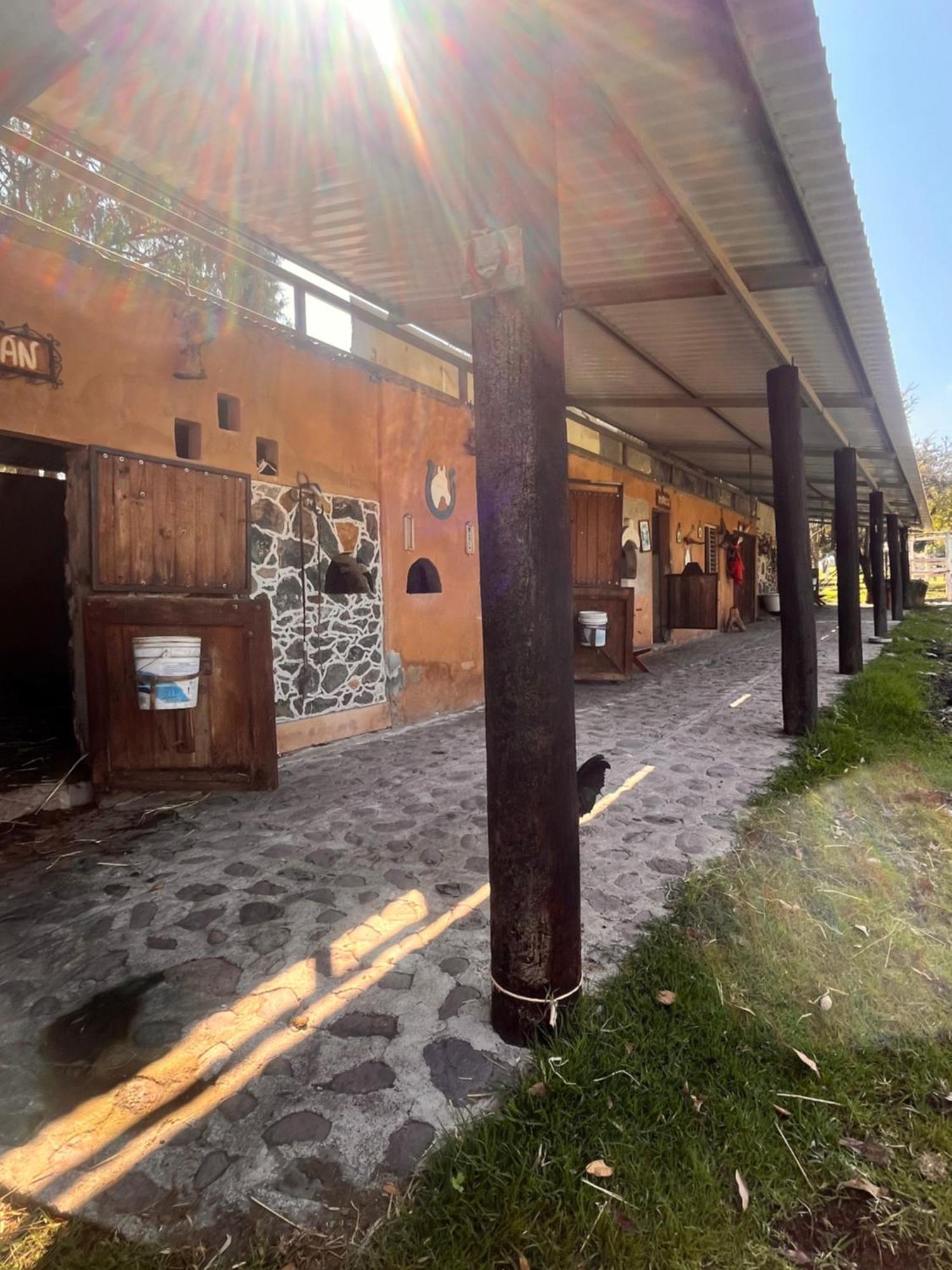 Cabanas Cumbres De Aguacatitla 우아스카 데 오캄포 외부 사진