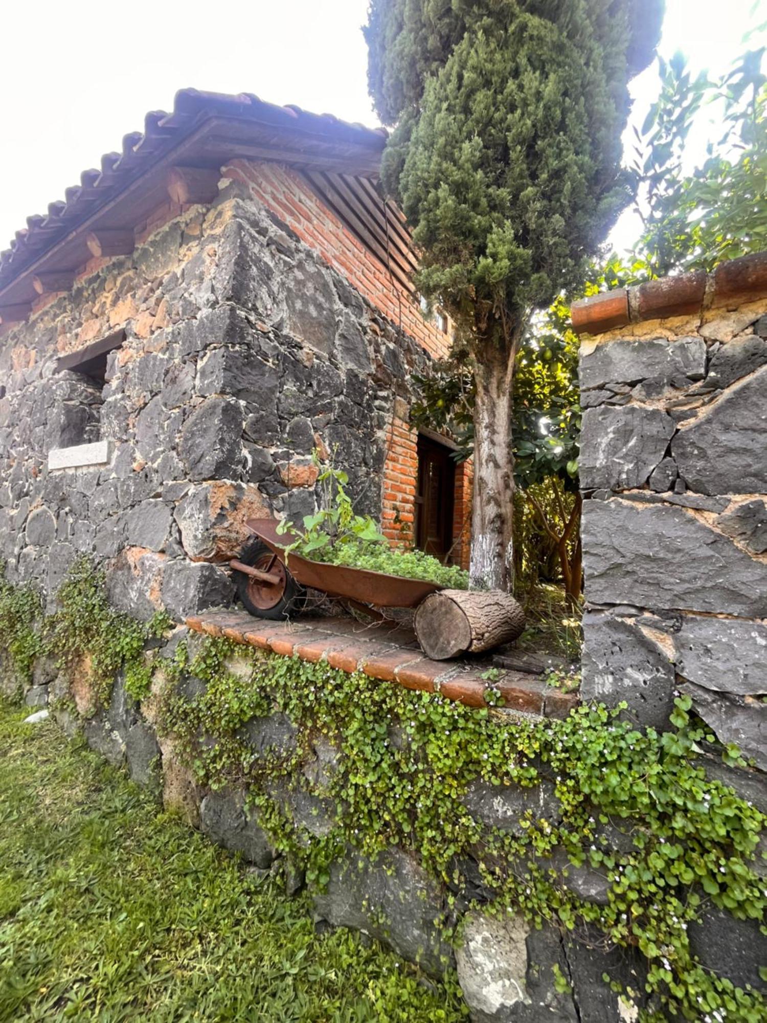 Cabanas Cumbres De Aguacatitla 우아스카 데 오캄포 외부 사진
