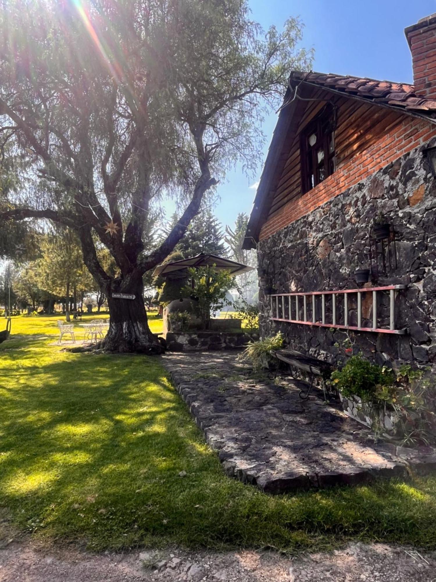 Cabanas Cumbres De Aguacatitla 우아스카 데 오캄포 외부 사진