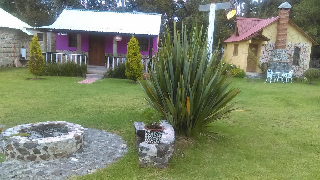 우아스카 데 오캄포 Cabanas Cumbres De Aguacatitla 빌라 외부 사진